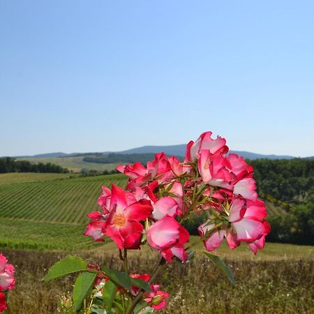 Agriturismo Cignanbianco 카스텔리나인키안티 외부 사진